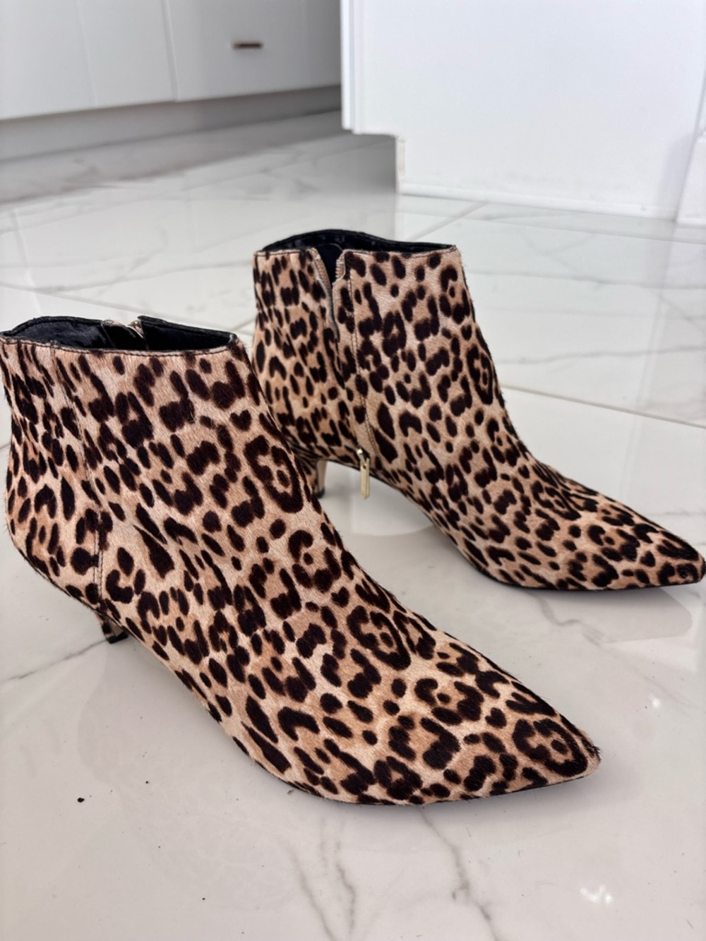 Sam Edelman Leopard Zip Ankle KinIe Booties Size 9 Kitten Heel Festival mobwife - Picture 4 of 10